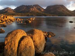 Day Walks Freycinet Wild Sight