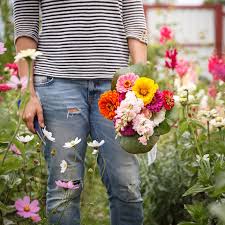 How To Create A Cut Flower Garden