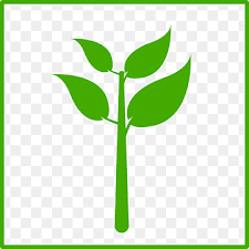 Plant Icon Png Images Pngwing