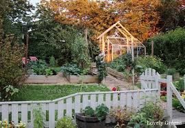 Raised Garden Beds