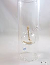 Classic Wolfard Oil Lamp Clear Glass