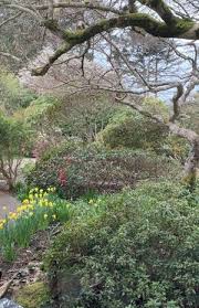 Beloved Oregon Coast Garden Must Remove