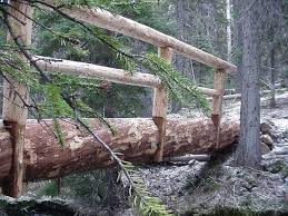 Trail Crews Build A Log Bridge Over