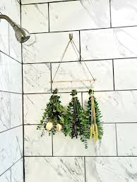 Shower Eucalyptus Bundle Set Fresh