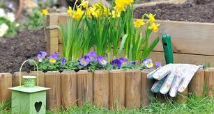 Garden Edging Ideas