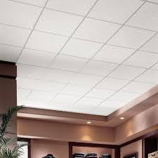 Armstrong 1775 24 L X 24 W Dune Ceiling Tile