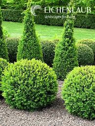 Landscaping Your Property Lines