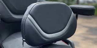 The Platinum Grande Backrest For The