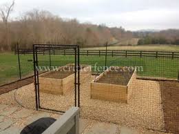 How To Deer Proof Your Garden