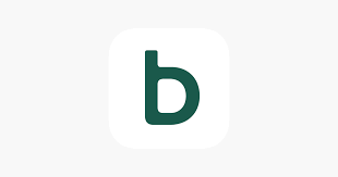 Blink Home Monitor On The App