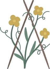 Vector Picture Of Garden Yellow Flower