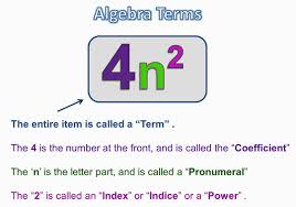 Algebra Terms And Expressions Passy S