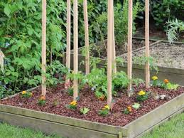 6 Ways To Save On A Small Garden