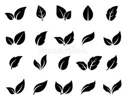 Top 10 Leaf Icon Ideas And Inspiration