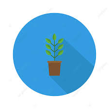 Potted Plant Clipart Png Images Plant