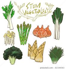 Stem Vegetable Icon Hand Painted