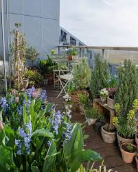 20 Balcony Garden Ideas That Prove