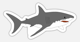 Great White Shark 2 Sticker Spreadshirt