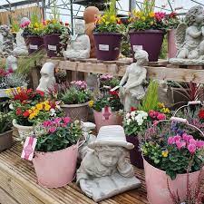 Containers Planters Ahern Nurseries