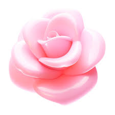 Pink Rose 3d Png Transpa Images