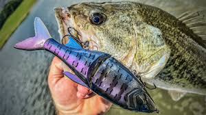 13 Fishing Glidesdale Glide Bait Review