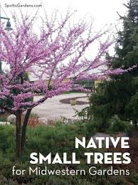 Native Small Trees For Midwestern Gardens