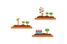 Garden Icon Care Graphic By Graphic