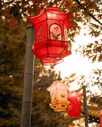 Chinese Lanterns Garden Urban Print