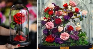 Real Beauty And The Beast Roses Exist