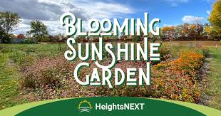 Blooming Sunshine Garden Columbia