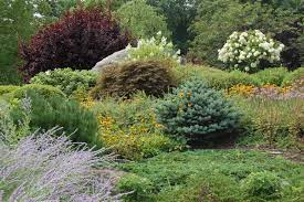 Designing With Conifers Finding The