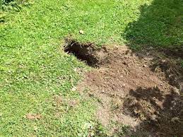 How To Prevent Badgers Digging Holes In