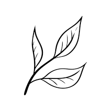 Tea Leaves Icon In Simple Sketch Style