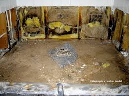 Black Mold Exposure On Your Health