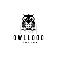 Owl Template Icon Vector Logo Design