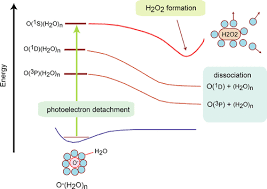 Formation Of Hydrogen Peroxide From O