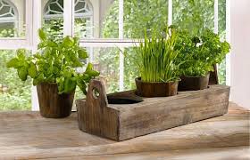 30 Indoor Herb Pots And Planters To Add