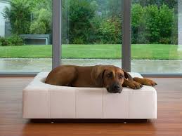 Genuine Leather Dog Bed Craftsmanship