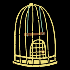 Bird Cage T Shirt Designs Graphics