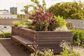 Raised Bed In Urban Garden Growing