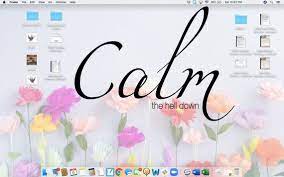 Nerdy Organized Desktop Wallpaper Calm