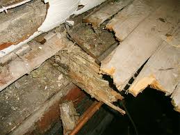 dry rot repair mat s home