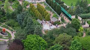 Wedding Is Happening In Botanic Gardens