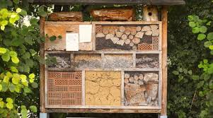 Bee Houses For Native Solitary Bees