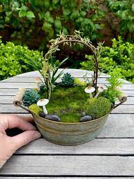 Indoor Fairy Garden Miniature Garden