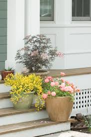 Potted Plants This Winter
