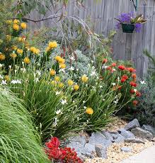 Native Garden Design Perth Australian
