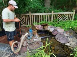 Summer Pond Cleaning Tips That You Need