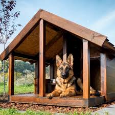 Dog House Ideas That Benefit Your Dog