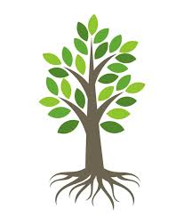 100 000 Tree Roots Vector Vector Images